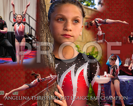 AngelinaTcollage
