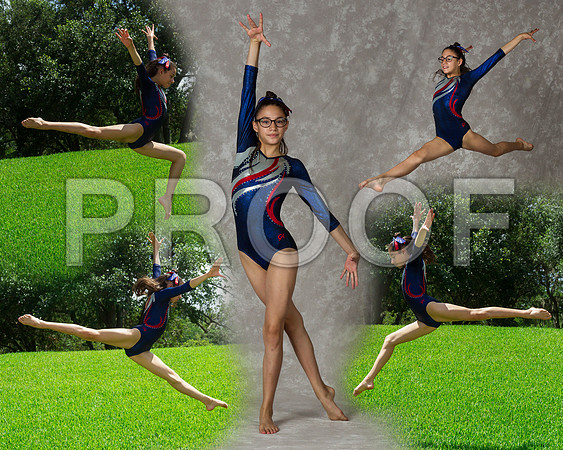EMcollage