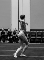 _13g3445
