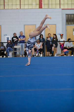 JMS_2941