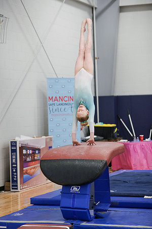 JMS_3110-3-218