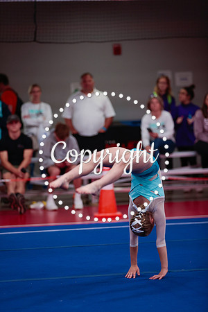_06I3209