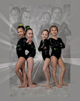_61_3061 20x16 collage