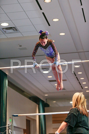 _81_8512