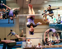 IScollage
