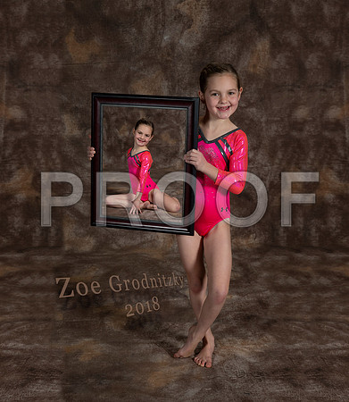 Zoe Frame Collage 2018