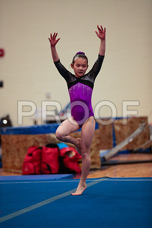_61_6923