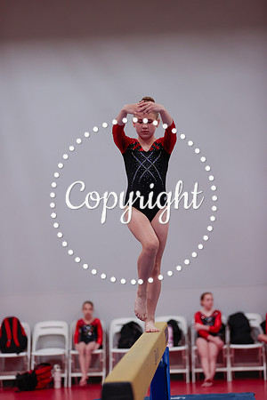 _06I5530