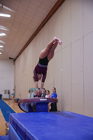 JMS_8145