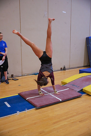 JMS_8101