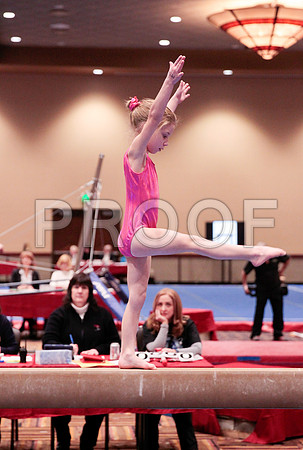 _13g9238