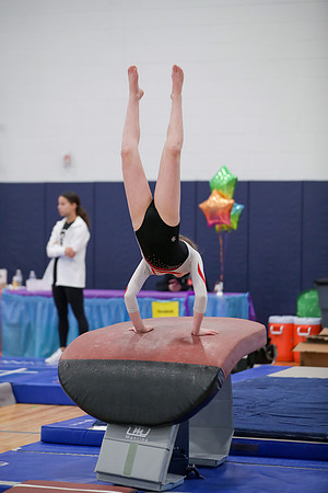 JMS_2629