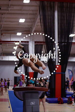 _29A0015