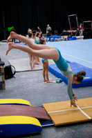 Fiona K