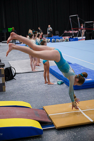 JMS_2985