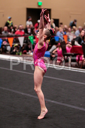 _13g7048