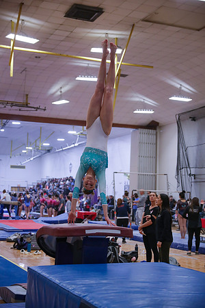 JMS_8337