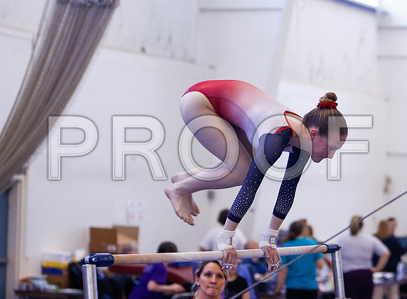 _81_2393