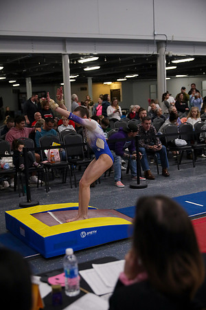 JMS_3184
