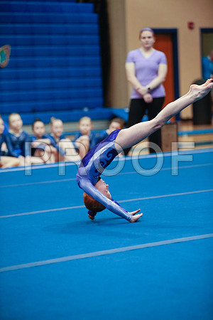 _61_0208