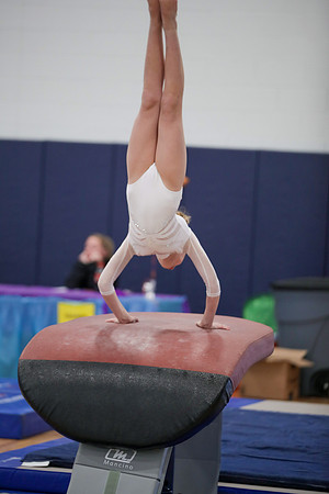 JMS_3488