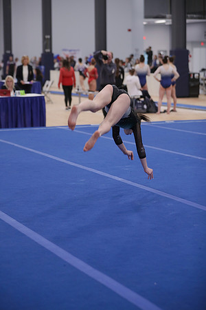 JMS_5953