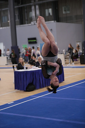 JMS_5913