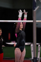 A06I0008