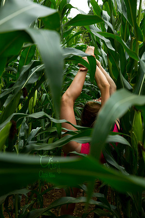 Maggie Ayres - Corn 4 - Chris Aldous Photography