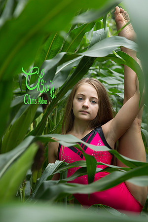 Maggie Ayres - Corn 2 - Chris Aldous Photography