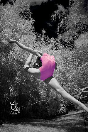 Maggie Ayres - Infrared Bamboo - Chris Aldous Photography