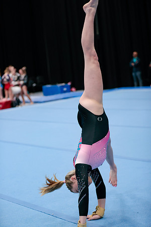 _06I0093