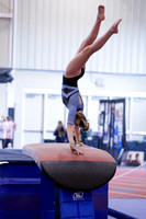 Annika J