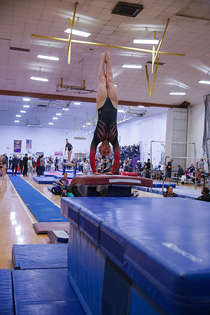 JMS_6389