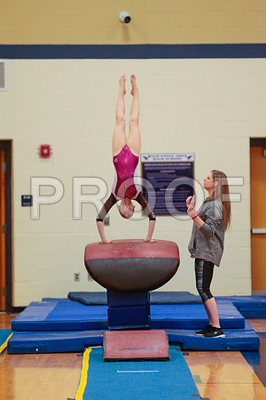 _60_0695