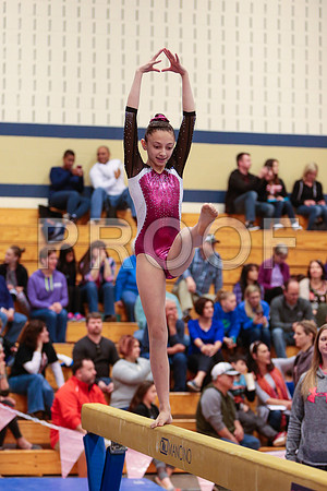 _76_7529