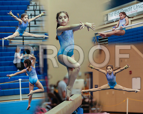 SarahScollage
