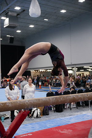 JMS_3784