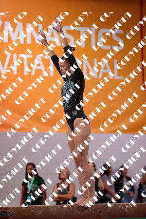 _06I2975