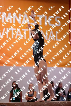 _06I2978
