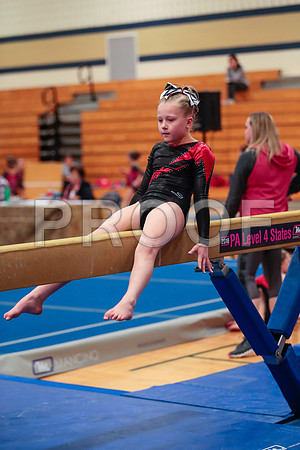 _61_1994 (1)
