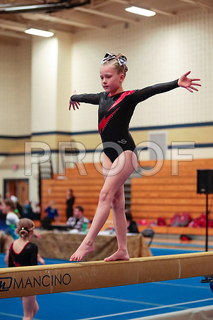_61_2009 (1)