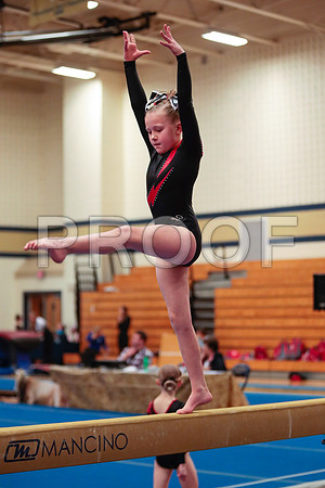 _61_2011 (1)