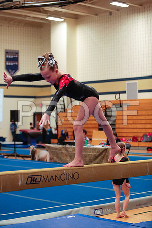 _61_2013 (1)
