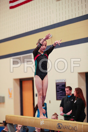 _61_6219