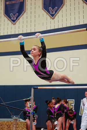 _60_0666