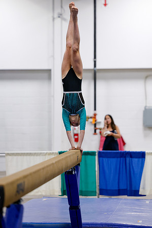 _MS_0065