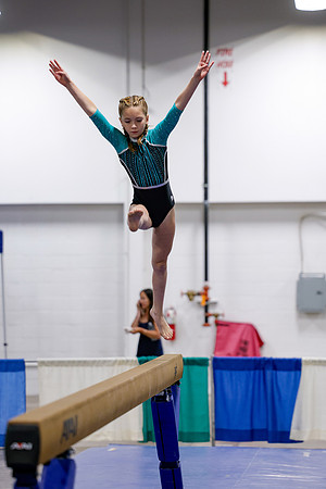 _MS_0091
