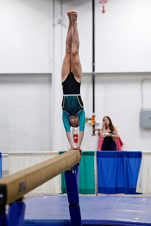 _MS_0064