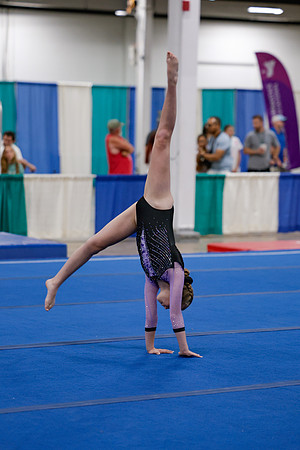 _MS_0061
